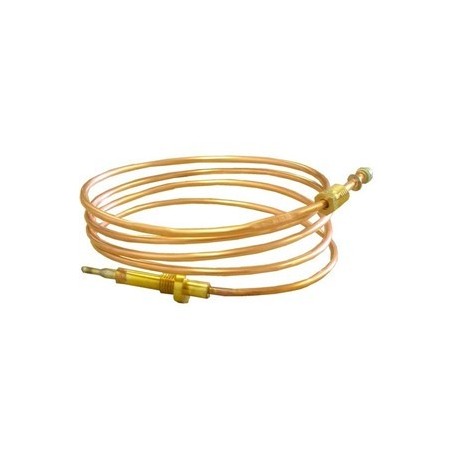 Zilvere controleknop gas